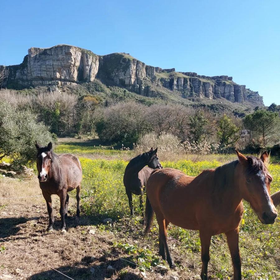 Chiosi Country Club Bed & Breakfast Corleone Bagian luar foto